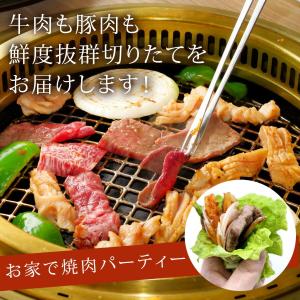 【昨年実店舗販売実績No.1!焼肉セット】 国...の詳細画像4