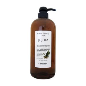 フォーデイズ ヘアシャンプー V 400mL (シャンプー) : プライスラボ