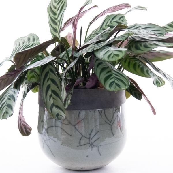 DOMANI Minsk ドマーニ ミンスク 20 ミント 鉢カバー