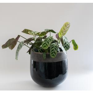 DOMANI FES ドマーニ 鉢カバー フェス ブリック TFT8 : S-colour