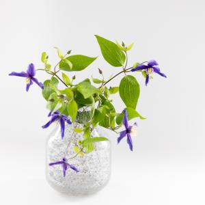 HenryDean ヘンリーディーン Barbat S コルゾA ガラス花瓶 花器 : S