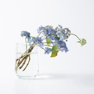 HenryDean ヘンリーディーン ソンボルハイS タンジェロ ガラス花瓶