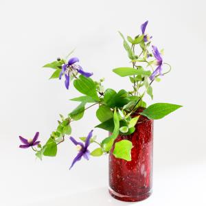 HenryDean ヘンリーディーン グラスXL クラレット ガラス花瓶 花器 : S