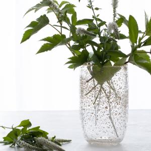 HenryDean ヘンリーディーン スクエアXS コルゾB ガラス花瓶 花器 : S