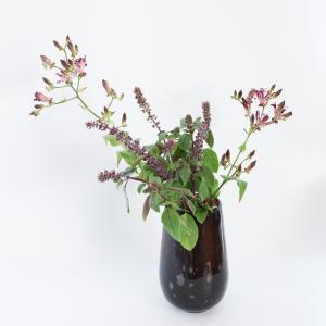 HenryDean ヘンリーディーン　ストロンボリXS ブルネット ガラス花瓶　花器｜s-colourliving