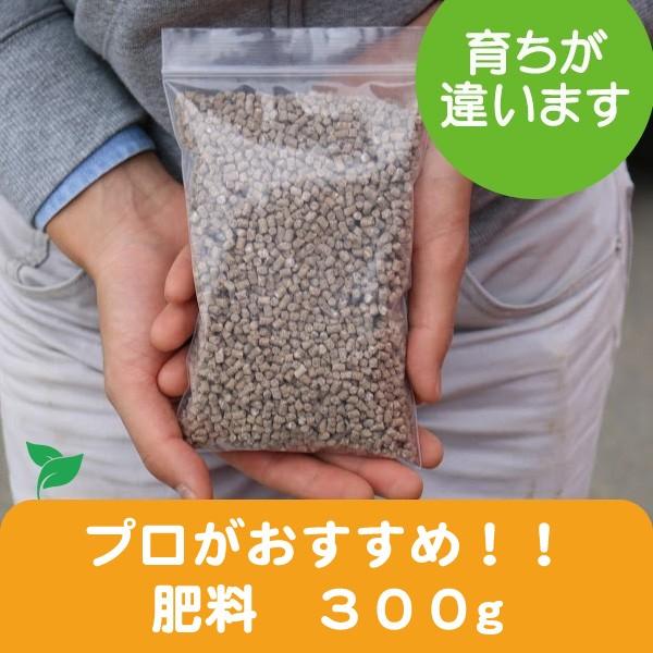 プロがおすすめする　肥料　300g