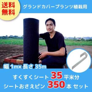ブーム シリンダー シールキット クボタ KH-012 / KH012 社外品 : 建機