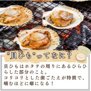ホタテ 貝ひも 炙り焼き 300g×1袋 醤油...の詳細画像4