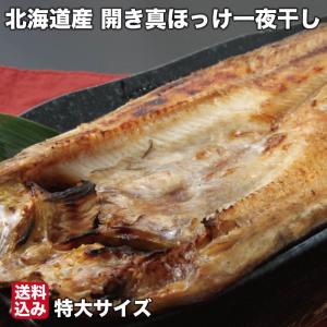 父の日 開き 真ほっけ 一夜干し 330g前後×10 干物 真ほっけ 北海道 広尾町 鏑木水産 送料無料 【脂のり抜群】｜s-hokkaido