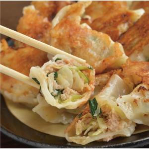 餃子 にんにく入り 30個 ひこま豚使用 やしろの手作り餃子 冷凍 生餃子 ぎょうざ お弁当 おつまみ 北海道 北斗市 初代ラーメン社 産地直送 送料無料 0135 Gg1 北海道のお取り寄せ 地元市場 通販 Yahoo ショッピング