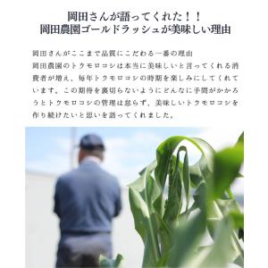 とうもろこし 北海道 ゴールドラッシュ 2Lサ...の詳細画像4