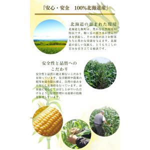 とうもろこし 北海道 ゴールドラッシュ 2Lサ...の詳細画像5