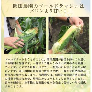 とうもろこし 北海道 ゴールドラッシュ 2Lサ...の詳細画像2
