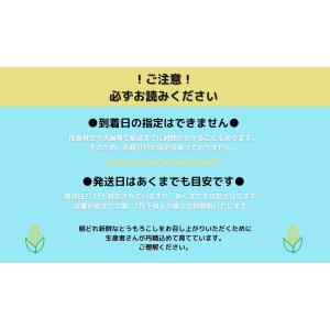 とうもろこし 北海道 ゴールドラッシュ 2L ...の詳細画像1