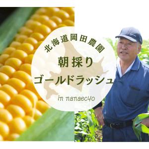 とうもろこし 北海道 ゴールドラッシュ 2L ...の詳細画像2