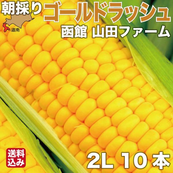 北海道最速級出荷 早期予約 7月下旬より発送 とうもろこし 北海道産 ゴールドラッシュ 2Lサイズ ...