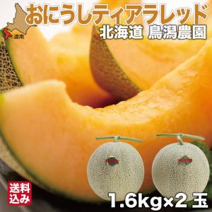 【期間限定】 メロン 北海道 1.6kg×2 ギフト おにうし レッド ティアラレッド 赤肉 森町 鳥潟農園｜s-hokkaido