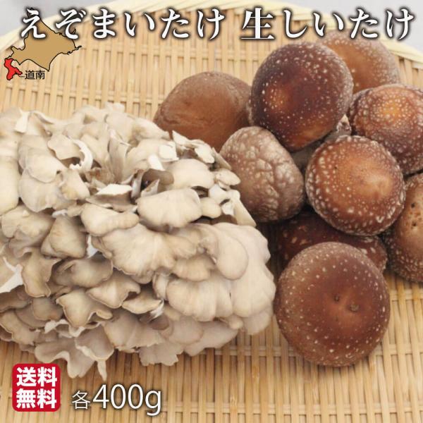 朝採り まいたけ しいたけ 北海道 各400g 大株 蝦夷 舞茸 えぞまいたけ 椎茸 国産 生 厚沢...