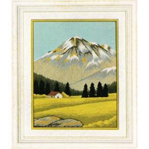 文化刺繍針A-2 : ビワミンと文化刺繍のイワセ商会 - 通販 - Yahoo