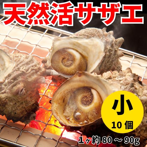 【海鮮バーベキュー】【ギフト】業務用サザエ　小サイズ　80g〜90g×10ヶ（冷凍便冷蔵便同梱可）
