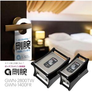 剛腕ツイン／GWN-2800TW オーニット製オゾン機器　1台　2800ｍｇ/h　　除菌   オゾン発生器　ウイルス除去 　ウイルス対策 ウィルス 日本製｜s-label