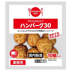 [冷凍] 伊藤ハム  やわらか仕立てハンバーグ30 (300g)×20パック（業務用）