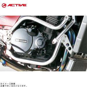 ACTIVE（アクティブ） ステーセット ビッグラジエーター T-2 ビッグ