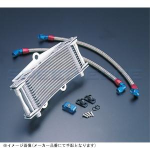 14037913C EARL'S アールズ OILクーラーKIT ラウンド #6 9-13R