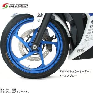 GALE SPEED（ゲイルスピード） 28310121SW アルミ鍛造ホイール (TYPE-R