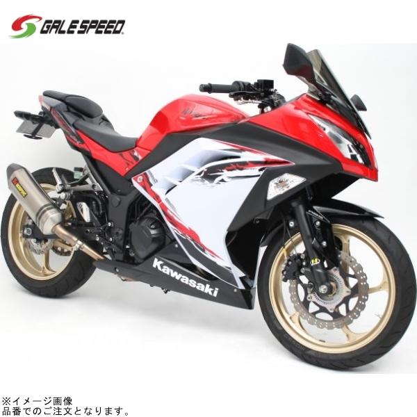 GALE SPEED ゲイルスピード 28875071Q アルミ鍛造ホイール (TYPE-GP1S)...