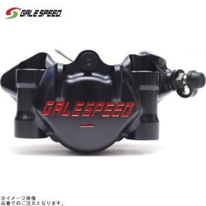 GALE SPEED（ゲイルスピード） GALE SPEED Elaborate リア2P ラジアル