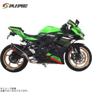 GALE SPEED（ゲイルスピード） 28870189SW アルミ鍛造ホイール (TYPE