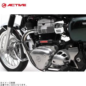 ACTIVE アクティブ 13691701 パフォーマンスダンパーR W800/W800