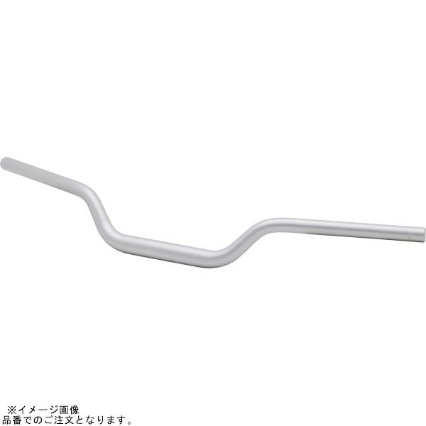 EFFEX EBTF376S イージーフィットバー シルバー XSR900