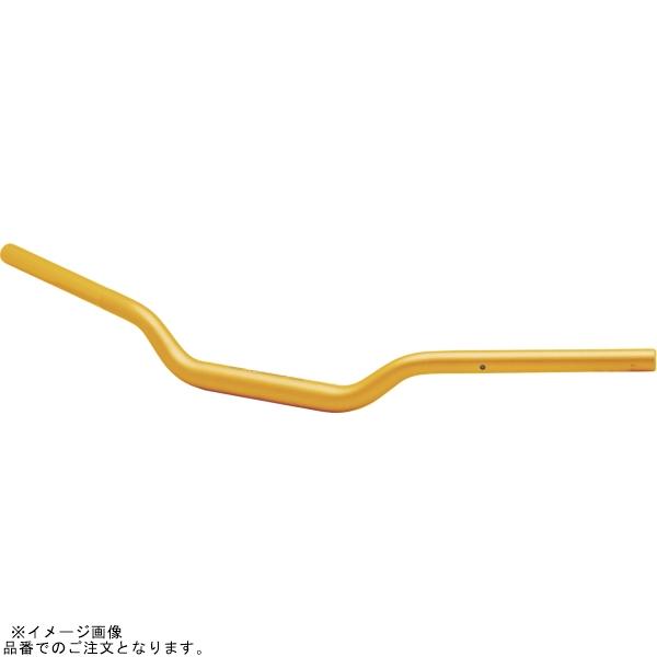 EFFEX PBTF369G イージーフィットバーPlus ゴールド MT-09