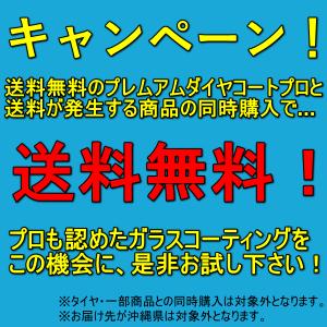 史上最強 10年耐久 プレミアムダイアコートプ...の詳細画像4