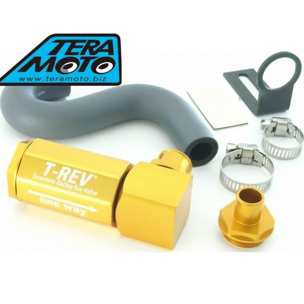 TERAMOTO テラモト 4685 T-REV ゴールド ZRX1100/1200専用