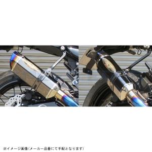 BEET ナサートR Evo TYPE-2 JSB ZX-10R 11-15 クリアチタン (ビート