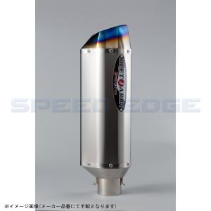BEET（ビート） R Evolution TypeII 汎用 サイレンサー 350