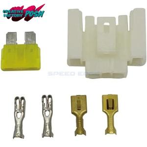 POSH（ポッシュ） 在庫あり CF POSH CFポッシュ 271842 モンキー