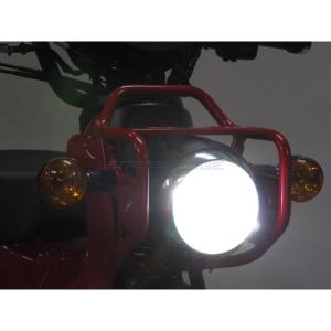 PROTEC プロテック 63009-60 LEDクラシカルヘッドライトキット(12V/バイク用) 6000K LBH-H15｜s-need