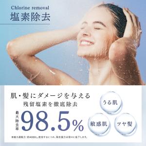 ヒホウファインバブル プラスイー シャワーヘッ...の詳細画像1