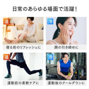 ホット & クール REBIVE2 専用 アタ...の詳細画像3
