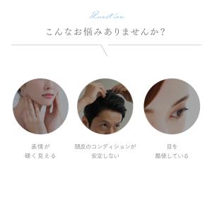 MYTREX 公式 REBIVE AIR 専用...の詳細画像3