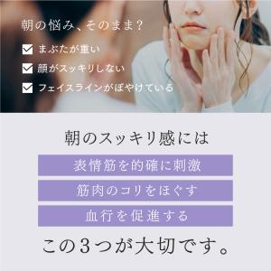 MYTREX SHAPE POINTER マイ...の詳細画像4