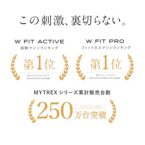 ブルブル振動マシン 振動マシン ステッパー E...の詳細画像1