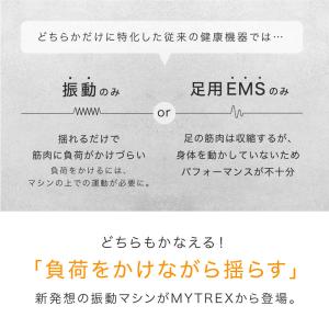 ブルブル振動マシン 振動マシン ステッパー E...の詳細画像3