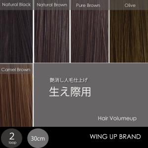 最終売り切り【新品未使用】人毛100%エクステ4本セット DAISO エクステ4本セット ヘアエクステ クリップタイプ