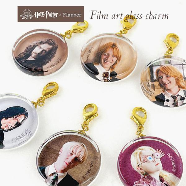 ハリーポッター グッズ ハリポタ 人物 顔 写真 FLAPPER フラッパー フィルムアート ガラス...