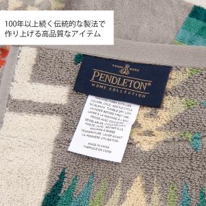PENDLETON ペンドルトン ブランケット...の詳細画像3